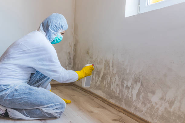 Licensed Crawl Space Mold Removal service in Belmont, VA - WQB Mold Removal