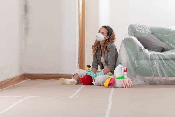 Reliable Crawl Space Mold Removal contractor in Belmont, VA by WQB Mold Removal